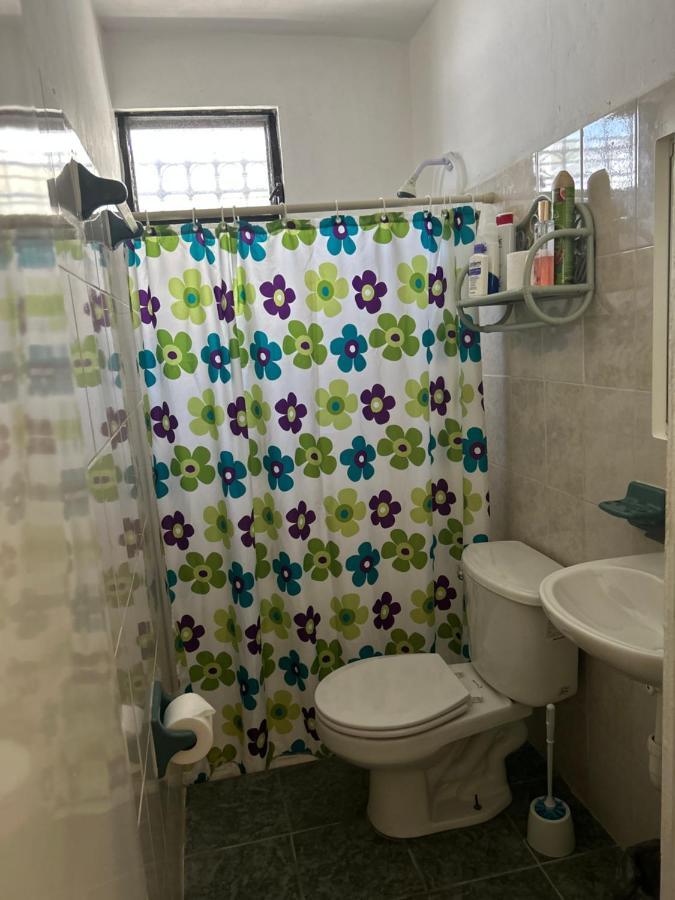 普拉亚卡门Casa De Hojas公寓 外观 照片