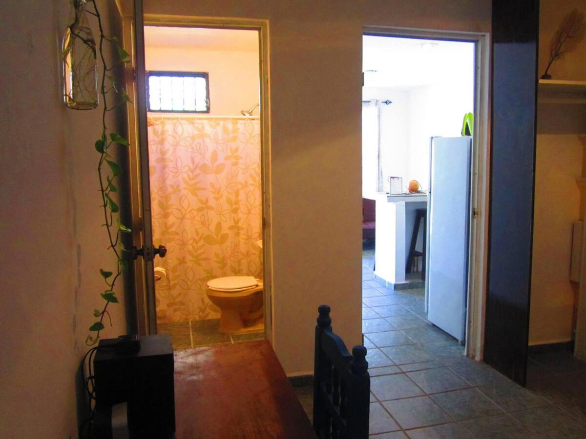 普拉亚卡门Casa De Hojas公寓 外观 照片
